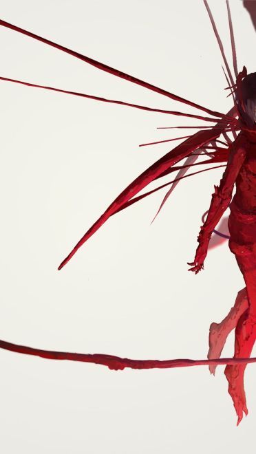 白夜森林 动漫壁纸20180407期(1)