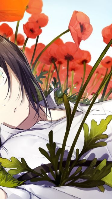 春困秋乏夏打盹冬眠一年四季皆可睡 动漫壁纸20180416期(1)