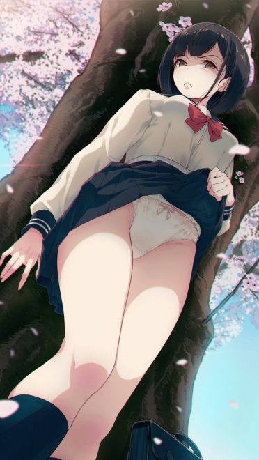 是不见方三日 世上满樱花 少女与樱花动漫手机壁纸(1)