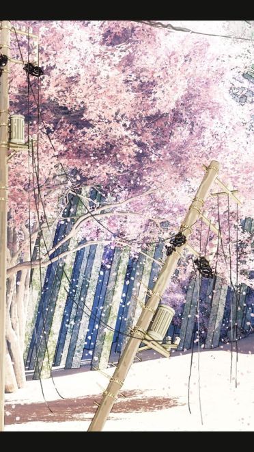 樱花特辑 动漫壁纸20180424期(1)