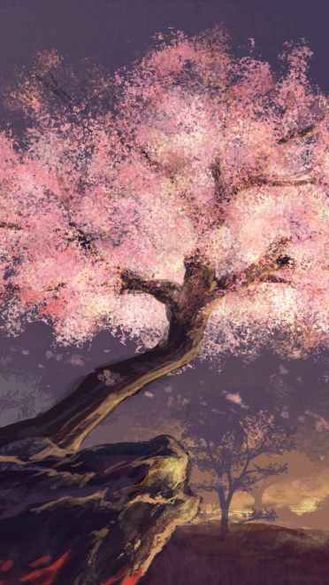 樱花特辑 动漫壁纸20180424期(1)