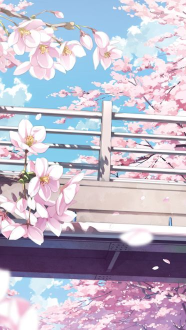  一个人无法胜利的话 两个人绝对能赢 动漫壁纸20180514期(1)