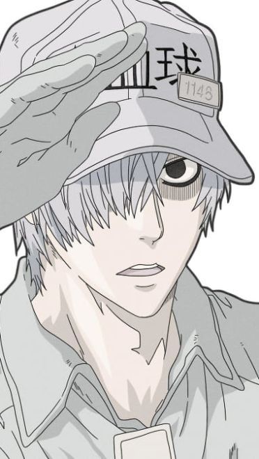 《工作细胞》白细胞萌化手机主题