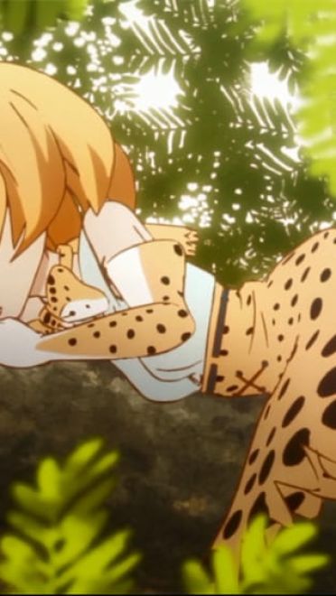 《兽娘动物园》薮猫手机主题