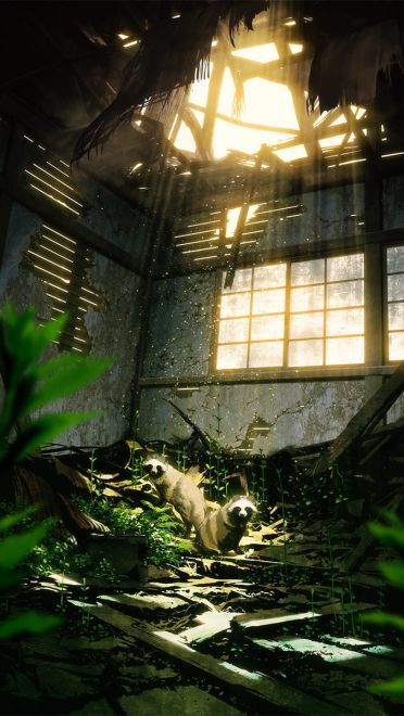 待君会 动漫手机壁纸20180928期(1)