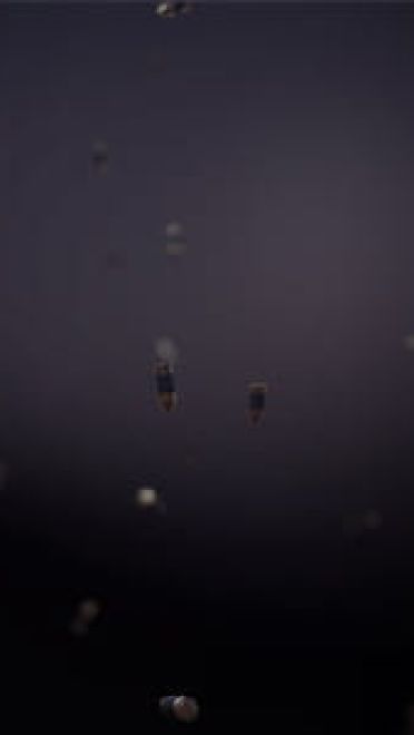 规则—就是用来打破的 最全金克丝皮肤原画壁纸大合集下载(1)