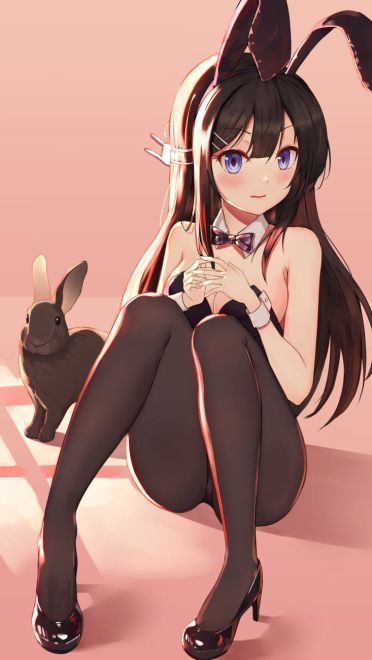 樱岛麻衣 青春猪头少年不会梦到兔女郎学姐 二次元萌图(1)