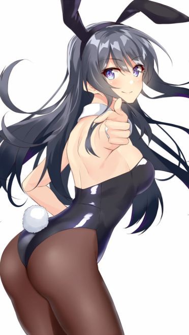 樱岛麻衣 青春猪头少年不会梦到兔女郎学姐 二次元萌图(1)