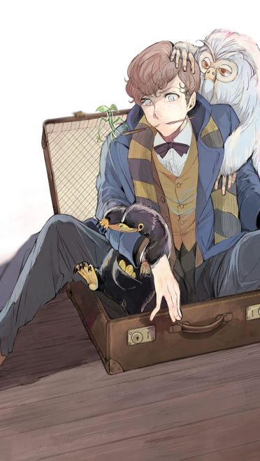 《神奇动物在哪里》同人原图高清壁纸(1)