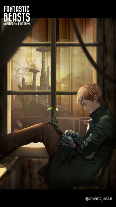 《神奇动物在哪里》同人原图高清壁纸(1)