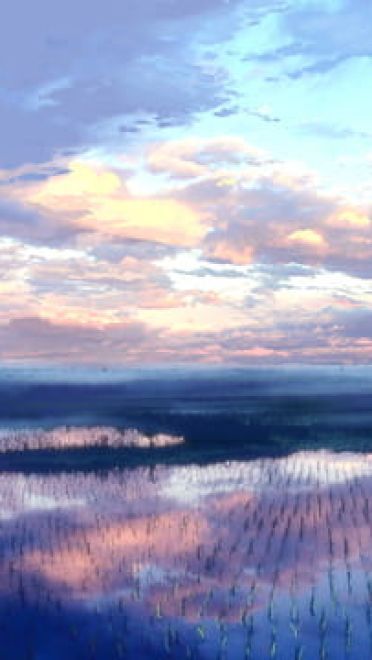 此世间可否如你所愿  二次元场景壁纸(1)