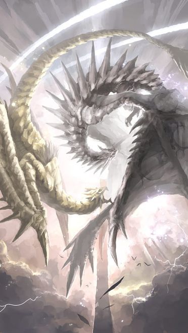 狩猎时间到了  怪物猎人电脑壁纸(1)