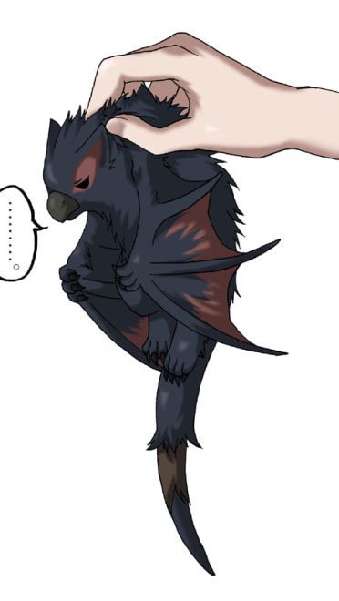 怪物猎人手机壁纸  二次元壁纸(1)