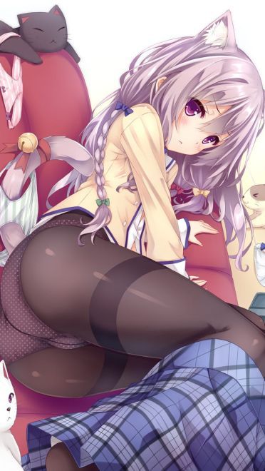 前方高能 一大波猫耳娘来袭(1)