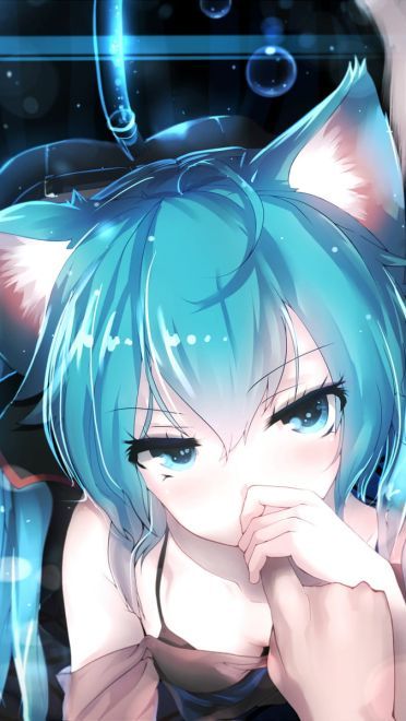 前方高能 一大波猫耳娘来袭(1)