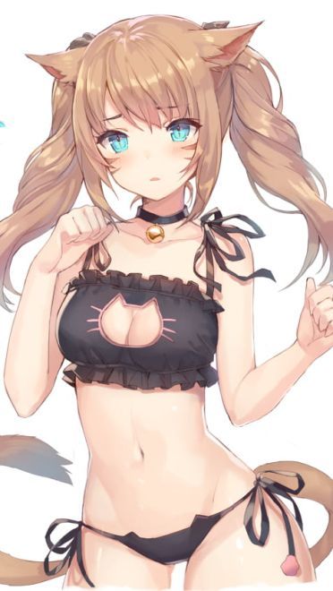 前方高能 一大波猫耳娘来袭(1)