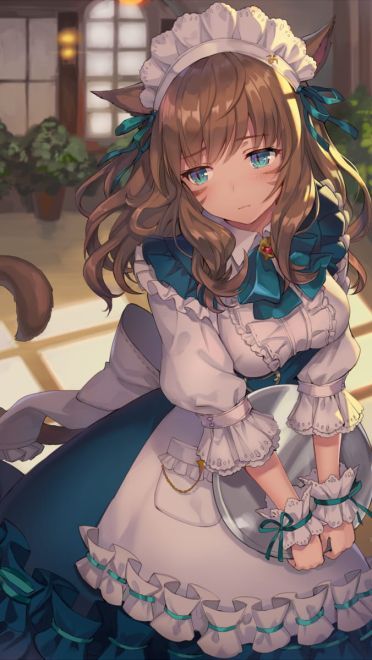 前方高能 一大波猫耳娘来袭(1)