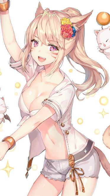 前方高能 一大波猫耳娘来袭(1)