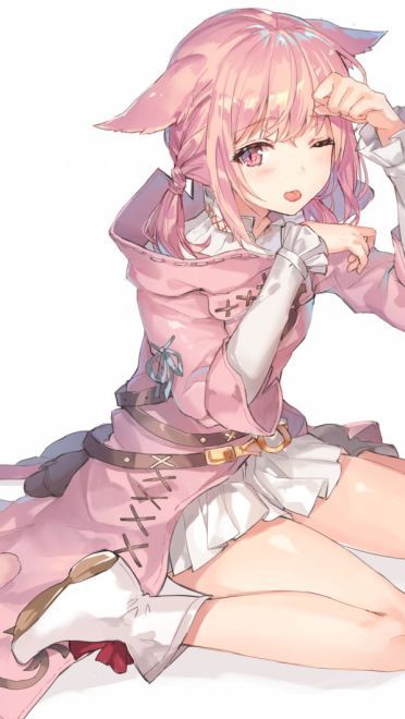 前方高能 一大波猫耳娘来袭(1)