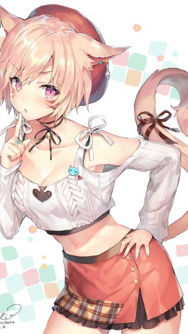 前方高能 一大波猫耳娘来袭(1)