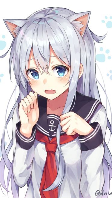 前方高能 一大波猫耳娘来袭(1)