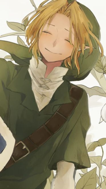 【电脑壁纸】塞尔达传说系列  塞尔达传说电脑壁纸(1)