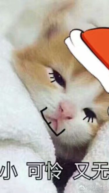 请问您今年圣诞怎么过？ 单身表情包