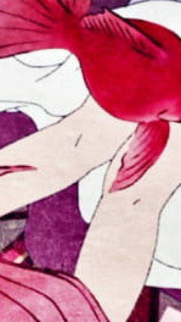 心念所囚即为牢笼,心念所驻即为城池.怪化猫电脑壁纸(1)