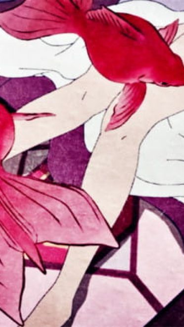 心念所囚即为牢笼,心念所驻即为城池.怪化猫电脑壁纸(1)