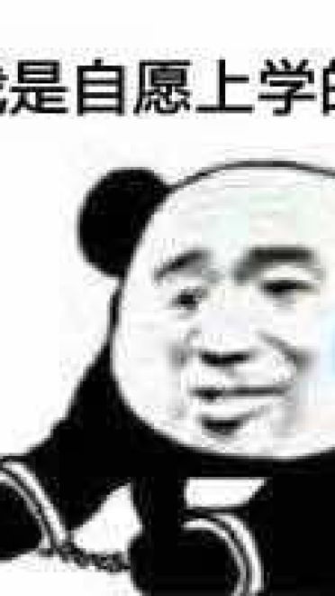 我是自愿的 熊猫表情包