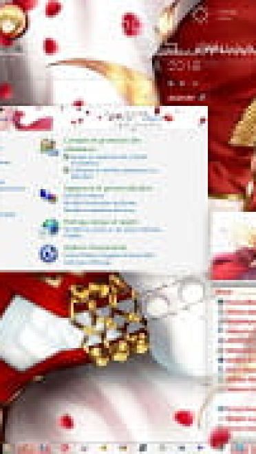 Windows7电脑萌化主题 Fate/EXTRA 尼禄