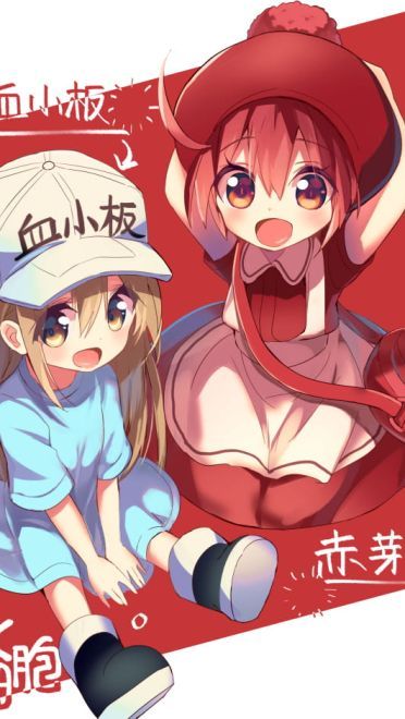 这是今日份的氧气~ 工作细胞手机壁纸(1)