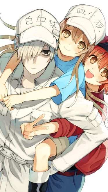 这是今日份的氧气~ 工作细胞手机壁纸(1)