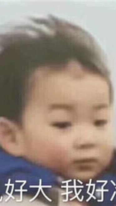 是时候展现真正的斗图了 沙雕表情包