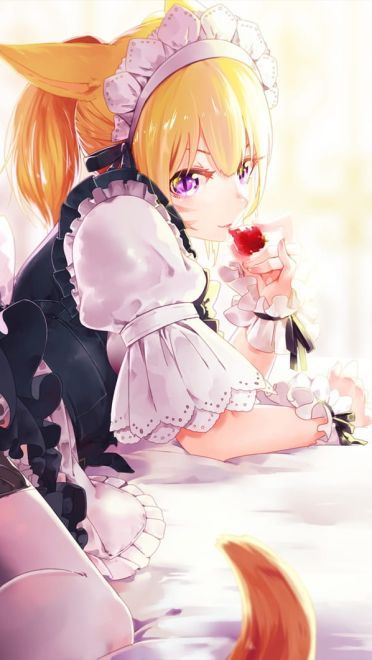 兽娘电脑壁纸(1)