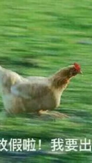 放假啦！！ 放假表情包