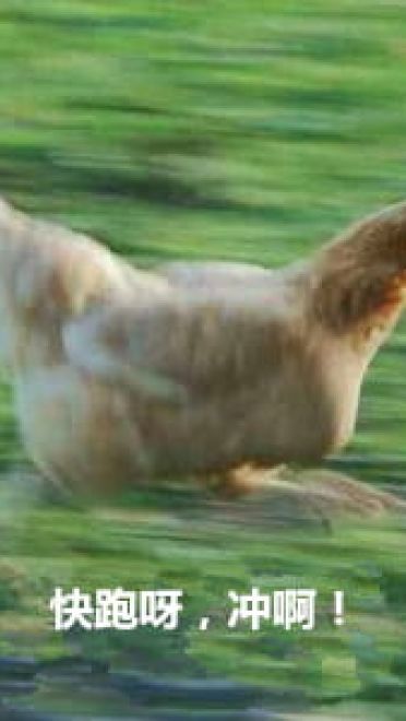 放假啦！！ 放假表情包