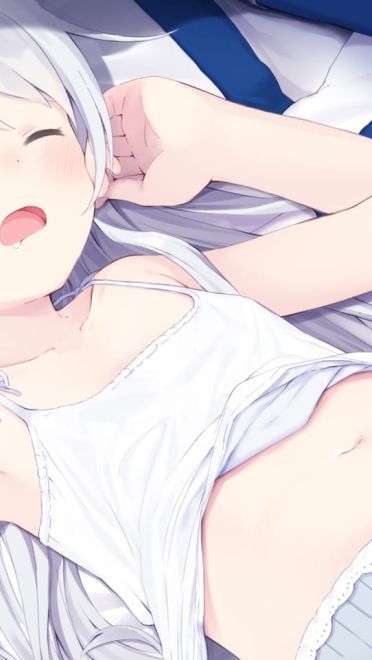 萌娘睡颜电脑壁纸(1)