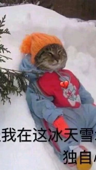 实在是太太太太太冷了 冬天寒冷表情包