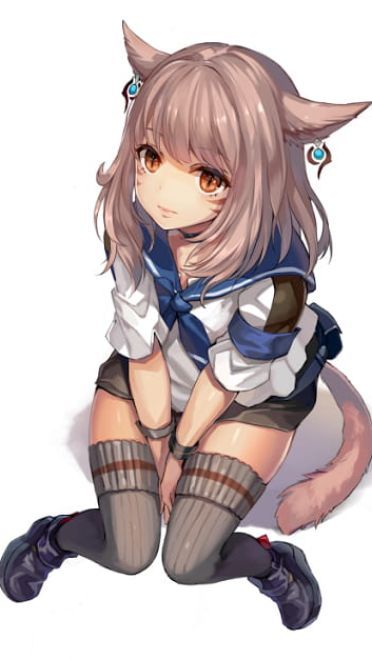 兽耳娘再次来袭 兽耳娘第二弹来袭(1)