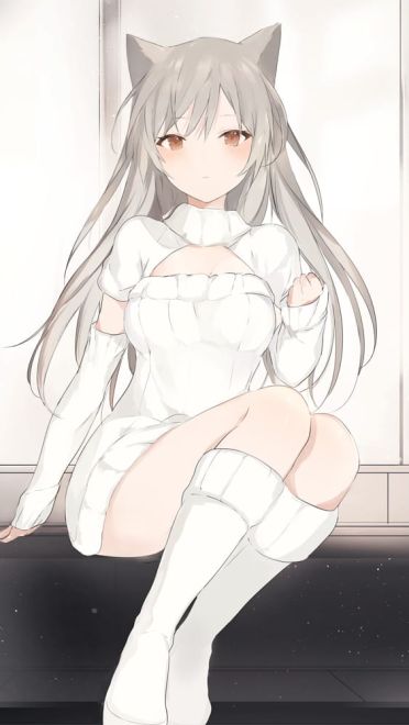 兽耳娘再次来袭 兽耳娘第二弹来袭(1)