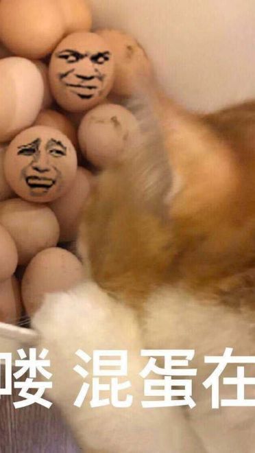 玩个蛋啊 沙雕表情包