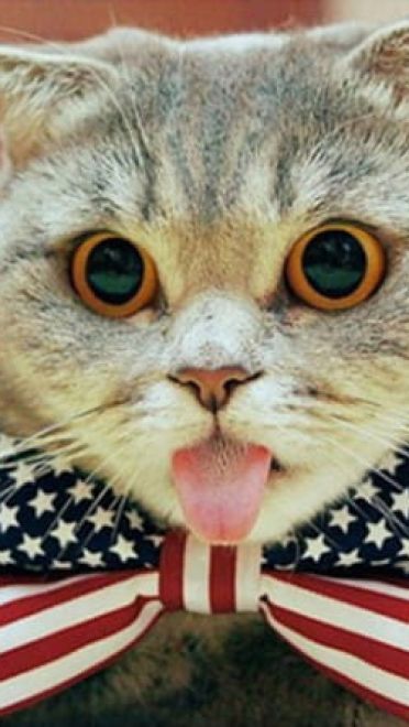 做鬼脸的表情包