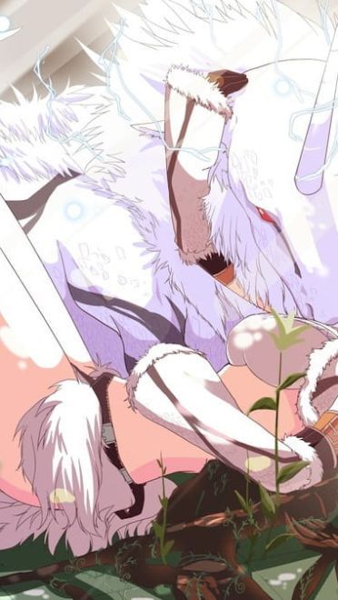 每日P站本子图20190110期(1)