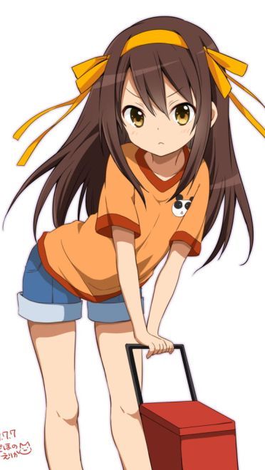 我对普通人没有兴趣 凉宫春日的忧郁 二次元萌图(1)