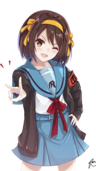 我对普通人没有兴趣 凉宫春日的忧郁 二次元萌图(1)