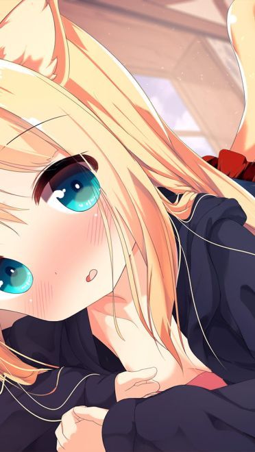 每日电脑壁纸推荐20190122期(1)