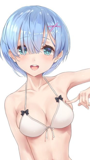 Re：从零开始的异世界生活 蕾姆 二次元萌图(1)