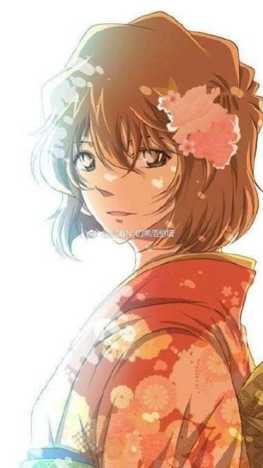 名侦探柯南壁纸