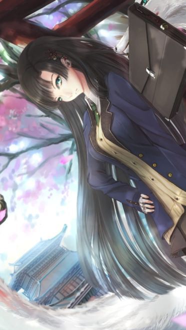 每日电脑壁纸推荐20190124期(1)